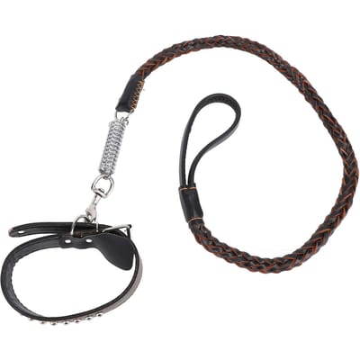Ensemble Collier et Laisse pour Chien en Cuir PU avec Ressort Amortisseur Laisse Tressée pour Dressage de Chien pour Moyen gray