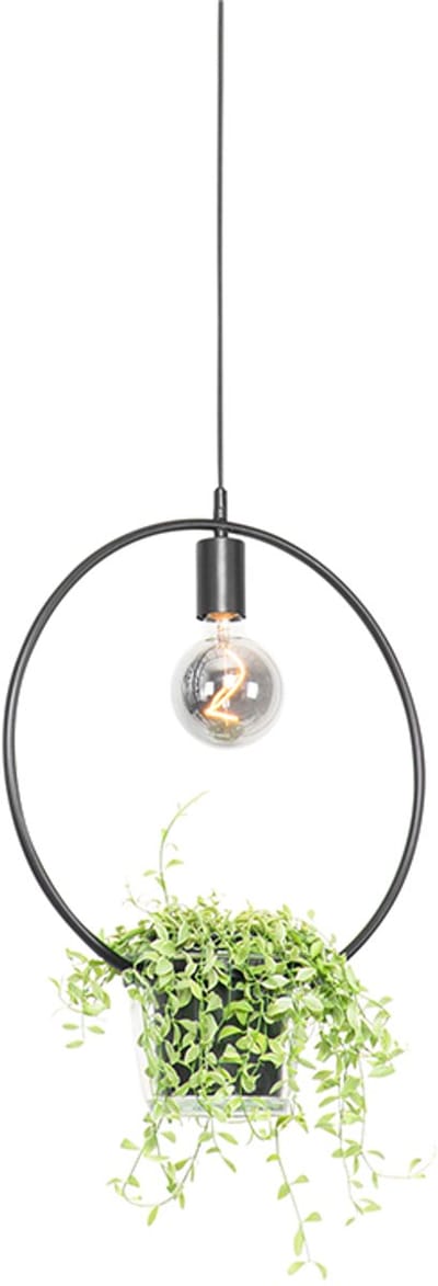 QAZQA roslini - Moderne Hanglamp - 1 lichts - L 40 cm - Zwart - Woonkamer | Slaapkamer | Keuken
