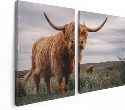 Artaza Canvas Schilderij Tweeluik Schotse Hooglander Koeien In De Wei - 120x80 - Foto Op Canvas - Canvas Print