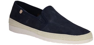 Verbenas Boris Blauwe Moccasin