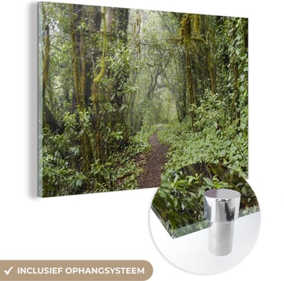 ® Glasschilderij 180x120 cm - Schilderij acrylglas - Pad in de bossen van het Nationaal park Garajonay op Tenerife - Foto op glas - Muurdecoratie woonkamer - Wanddecoratie slaapkamer - Schilderijen