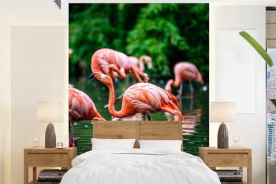 Behang - Fotobehang Flamingo - Tropisch - Vogel - Water - Roze - Breedte 190 cm x hoogte 260 cm