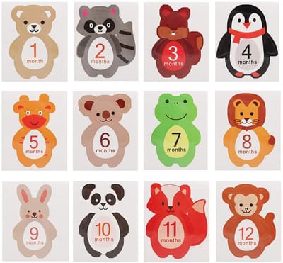 Dailygoods- Maandelijkse Stickers 12 Stuks - Pasgeboren Mijlpaal Stickers - Herinneringen Jongens/Meisjes - Schattige Cartoonafbeelding - Veilig en Gemakkelijk te Verwijderen - Mijlpaalstickers