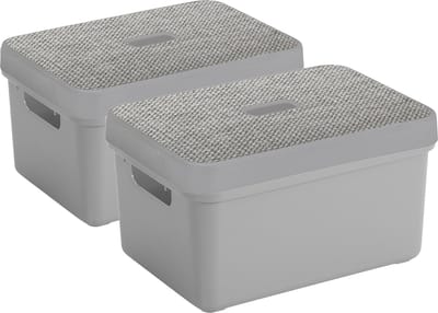 Sunware Opbergbox - lichtgrijs - 5 liter - set van 2x stuks met deksel