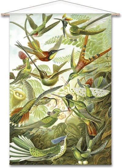 Wanddoek Ernst Haeckel - Kolibries (zonder houten stokken)