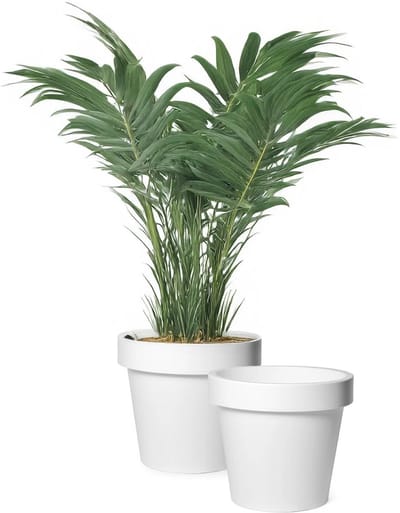 Mega Collections Plantenpot/bloempot - 2x - kunststof - wit - buiten - D35 x H31 cm
