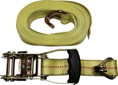 Carpoint Spanband met ratel professioneel 1 x 8 meter