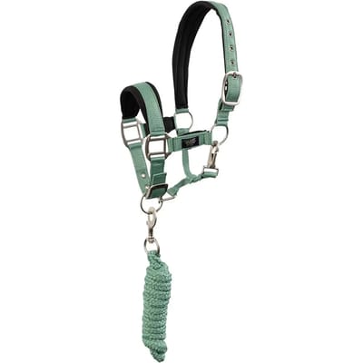 Br Halsterset Br Mini Horse Groen