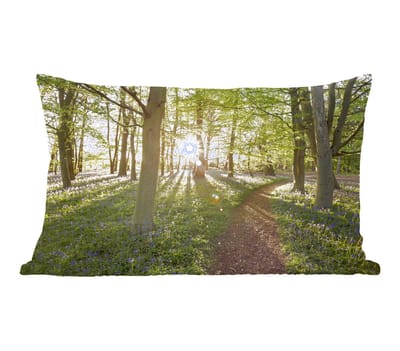 Sierkussens - Kussen - Een pad door een bosrijke omgeving - 60x40 cm - Kussen van katoen