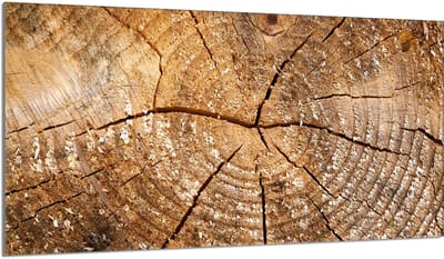 TMK ArtDeko - Beschermplaat Glas - 90x52 cm - Houtprint - Anti-bacterieel