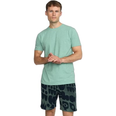 Revolution Regular T-shirt Green maat S