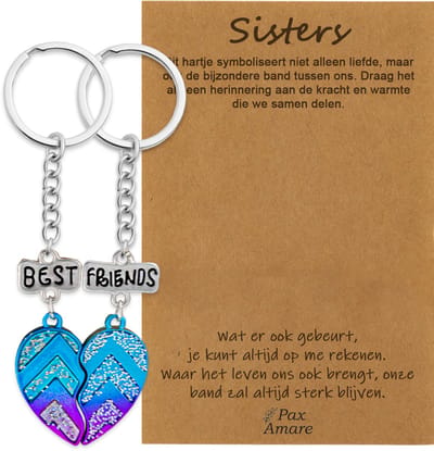 BFF Sleutelhanger voor 2 'Sisters' - Magnetisch Best Friends Hartje - Sleutelhangers op Cadeau Kaartje - Zilverkleurig - Vriendschap Symbool - Pax Amare
