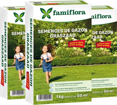 Famiflora graszaad Speel & Sport - voor aanleg nieuw gazon - 3kg tot 150m² (3 x 1KG) - Voor een sterk gazon dat tegen spelen kan - Dichte grasmat verdringt onkruid automatisch