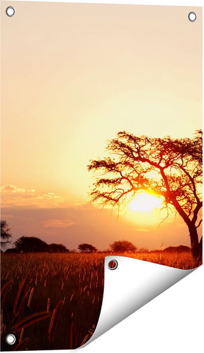 Gards Tuinposter Zonsondergang Achter een Acacia Boom - 40x60 cm - Tuindoek - Tuindecoratie - Wanddecoratie buiten - Tuinschilderij