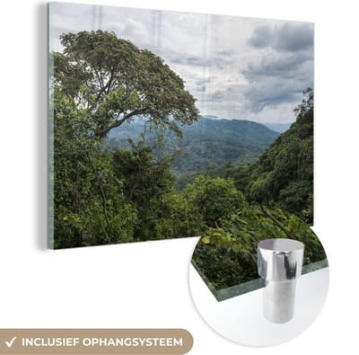 ® Glasschilderij 180x120 cm - Schilderij acrylglas - Jungle van het Nationaal Park Bwindi Impenetrable in Oeganda - Foto op glas - Muurdecoratie woonkamer - Wanddecoratie slaapkamer - Schilderijen