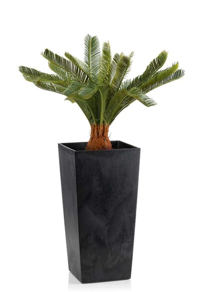 HowHomely Porto Serie - Bloempot - Zwart Beton - h68x35x35 cm
