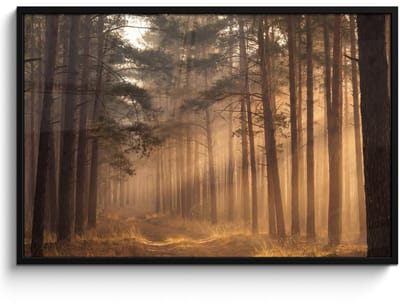 Poster in lijst - Fotolijst 120x80 cm - Posters - Bos - Mist - Zonlicht - Posterlijst zwart - Decoratie - Wanddecoratie woonkamer - Muurdecoratie slaapkamer