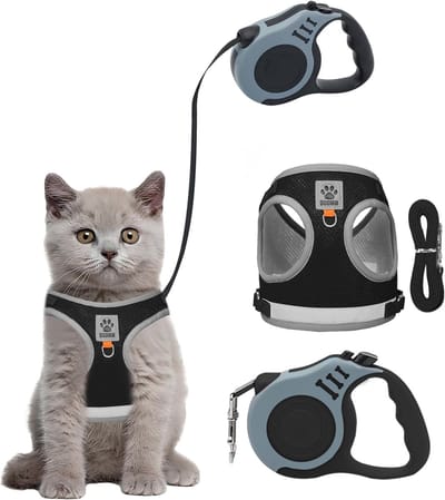 Dailygoods- Kattenharnas Ontsnappingsbestendig - Kattenriemset 5 m - Verstelbaar - Ademend Mesh - Reflecterend - Zacht Vest voor Kleine Katten - Kattenriem