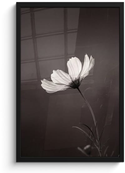 Poster in lijst - Fotolijst 40x60 cm - Posters - Bloem - Minimalistisch - Zwart - Wit - Posterlijst zwart - Decoratie - Wanddecoratie woonkamer - Muurdecoratie slaapkamer