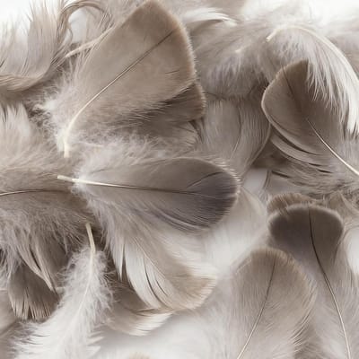 600 Pcs Natuurlijke Veertjes voor Creatieve Projecten, Versieringen, Droomvangers, Oorbellen en Bruiloften