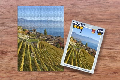 Puzzel Foto vanaf een wijngaard over het Meer van Genève - Legpuzzel - Puzzel 500 stukjes