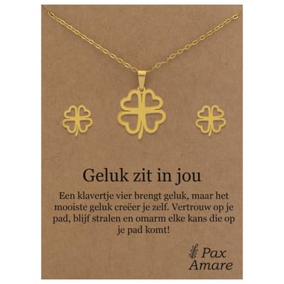 Stainless Steel Klavertje vier Ketting + Oorbellen Setje op Cadeau Kaartje - Geluk zit in jou - 45 cm ketting & ± 10x10mm Oorknopjes - Zilverkleurig Roestvrij Staal - Pax Amare