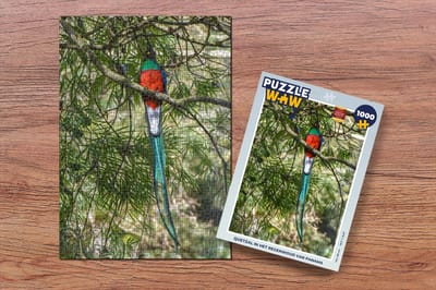 Puzzel Quetzal in het regenwoud van Panama - Legpuzzel - Puzzel 1000 stukjes volwassenen