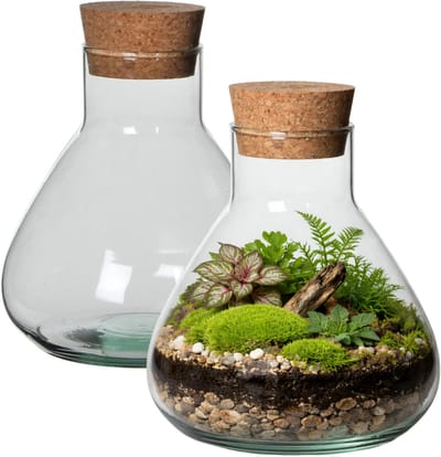 Atmosphera Vaas Terrarium - 2x - rond - met kurk - glas - Dia 17 x Hoogte 18 cm - transparant - gerecycled glas - met kurk deksel