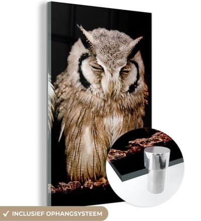 MuchoWow® Glasschilderij 120x180 cm - Schilderij acrylglas - Uil - Vogel - Zwart - Foto op glas - Schilderijen