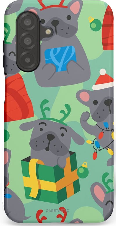 Casetastic hoesje geschikt voor Samsung Galaxy A26 - Dubbellaagse bescherming - Hondje als Kerstcadeau - Fashion Case - Mintgroen Grijs Rood