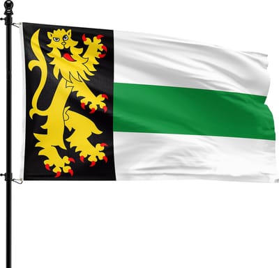 VlagDirect - Druten vlag - Gemeente Druten vlag - 90 x 150 cm.