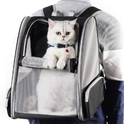 Vervoertas voor Katten en Kleine Honden tot 7,5 kg, Ademende Gaas Rugzak voor Kleine Huisdieren, Opvouwbaar en Ruim met Afneembare Pluizen Matras, Mand voor Reizen met Trein, Auto en Vliegtuig (Zwart)