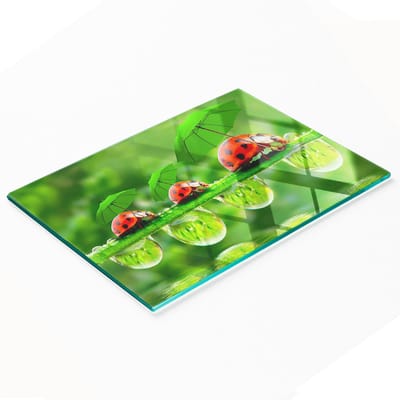 Decoratieve snijplank van gehard glas met lieveheersbeestjemotief, 80x52 cm
