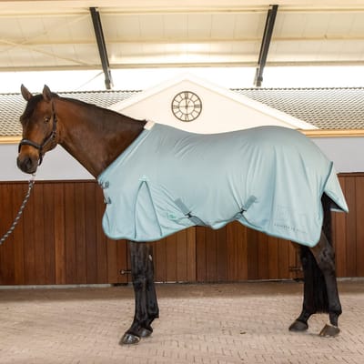 Insecten/zomer paardendeken Harry's Horse Comfort SU26 200g