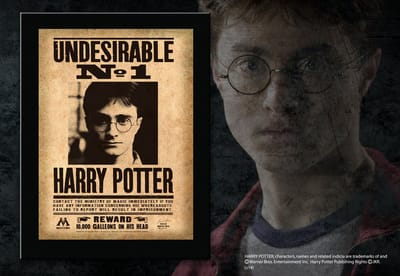 Muurplaat "Undesirable N1" Harry Potter