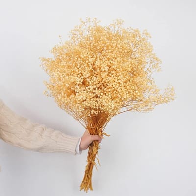 Dried Flowers Baby Breath Boeket met 1500+ Witte Bloemen, 17'' Natuurlijke Gypsophila Takken voor Bruiloft Tafeldecoratie, DIY Krans Bloemen en Thuisdecoratie