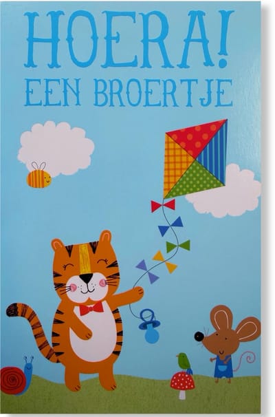 Geboortekaartje Broertje Wenskaart - Geboortekaart - 12 x 17 cm - gevouwen kaart Inclusief envelop