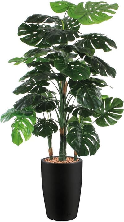 HTT - Kunstplant Monstera in Genesis rond antraciet H160 cm