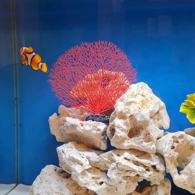 Dailygoods- Kunstmatig Koraal Realistisch - Aquariumdecoratie - PVC Materiaal - Zeeanemoon Ornament - Simulatie Landschap - 18x16x5 cm