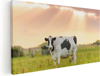 Artaza Canvas Schilderij Koe - 40x20 cm - Klein - Wanddecoratie Dieren - Muurdecoratie Weiland - Schilderijen Op Canvas Zonsondergang