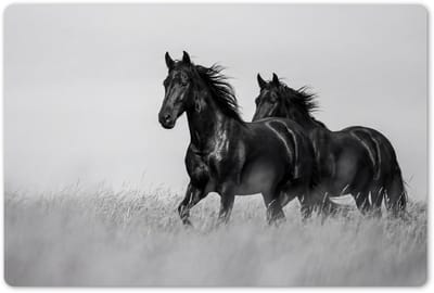Placemats 45x30 cm - Placemat kunststof - 1 stuk - Paarden - Gras - Zwart - Wit - Borden onderleggers - Decoratie voor op tafel - Keuken tafeldecoratie accessoires - Vinyl onderlegger - Tafelversiering