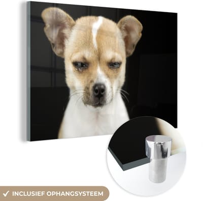 MuchoWow® Glasschilderij 120x80 cm - Schilderij acrylglas - Hond - Huisdieren - Portret - Foto op glas - Schilderijen