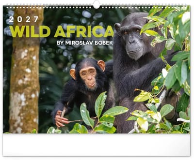 Wild Africa Kalender Groot 2027