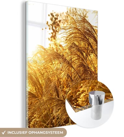 MuchoWow® Glasschilderij 30x40 cm - Schilderij acrylglas - Pampasgras - Zon - Gras - Foto op glas - Schilderijen