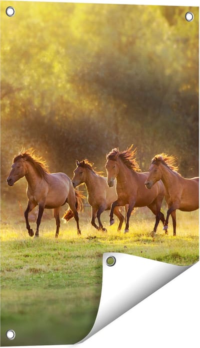 Gards Tuinposter Kudde Bruine Paarden in de Wei - 40x60 cm - Tuindoek - Tuindecoratie - Wanddecoratie buiten - Tuinschilderij