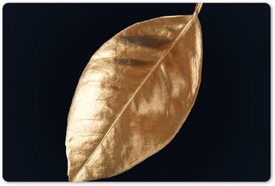 Placemats 45x30 cm - Placemat kunststof - 1 stuk - Bladeren - Black en gold - Luxe - Natuur - Planten - Borden onderleggers - Decoratie voor op tafel - Keuken tafeldecoratie accessoires - Vinyl onderlegger - Tafelversiering