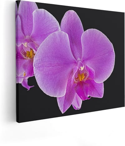 Artaza Canvas Schilderij Orchidee - 100x80 cm - Groot - Wanddecoratie Bloemen - Muurdecoratie Bloem - Schilderijen Op Canvas Roze
