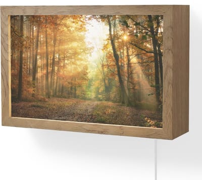 Wandlamp 30x20 cm - Oplaadbaar - Bos - Herfst - Zon - Landschap - Natuur - Bomen - Bladeren - Wandlampen binnen woonkamer - Slaapkamer lamp met kabel - Decoratieve nachtlamp - Vloerlamp snoer