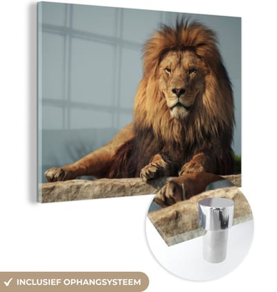 MuchoWow® Glasschilderij 160x120 cm - Schilderij acrylglas - Leeuw - Rots - Portret - Foto op glas - Schilderijen