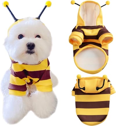 Schattige bijenkostuum hondensweater voor Halloween en Kerst - Cosplay voor kleine en middelgrote honden